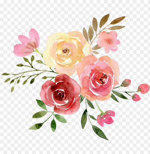 freetoedit ftestickers watercolor decoration flowers - calligraphy Isolated Item in HighQuality Transparent PNG