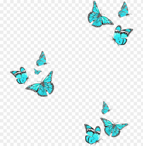 freetoedit remixit butterfly overlay bluebutterfly - picsart photo studio PNG transparent images for printing