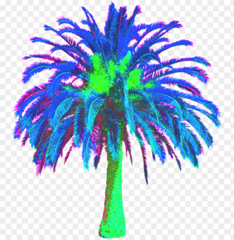 freetoedit vaporwave vaporwavecrew webpunk aesthetic - date palm tree Isolated Element with Clear Background PNG