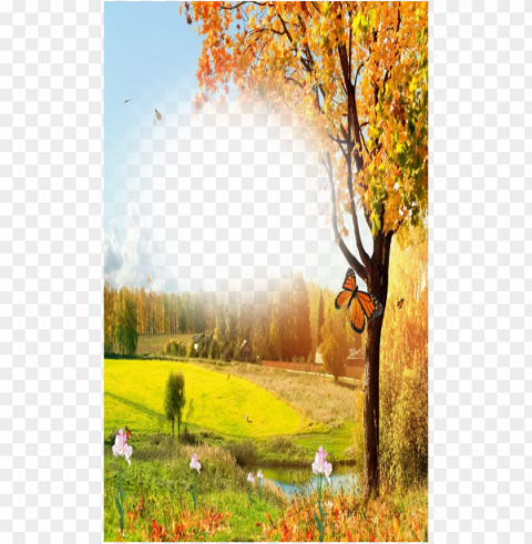 freeuse library nature beauty photo frame app ranking - beautiful nature frame PNG Illustration Isolated on Transparent Backdrop