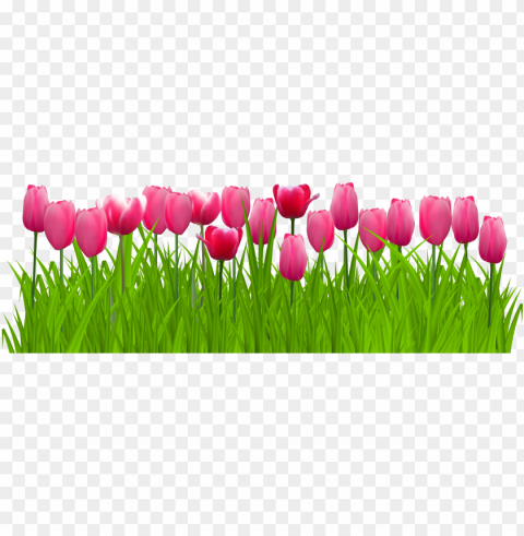 freeuse stock grass with pink clip art image - pink tulip flower Transparent PNG Isolated Item