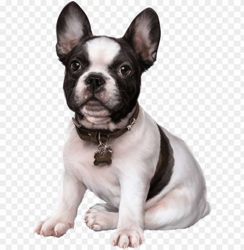 french bulldog puppy images clip art cute dogs - 3d tubes do Isolated Subject in Clear Transparent PNG