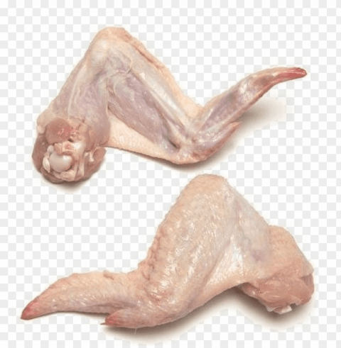 fresh chicken meat Transparent PNG art