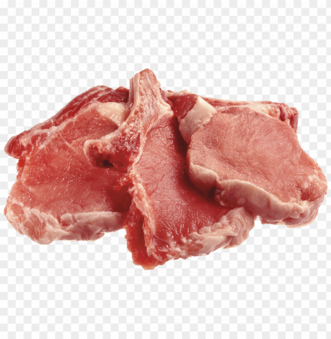 fresh chicken meat Transparent PNG graphics archive