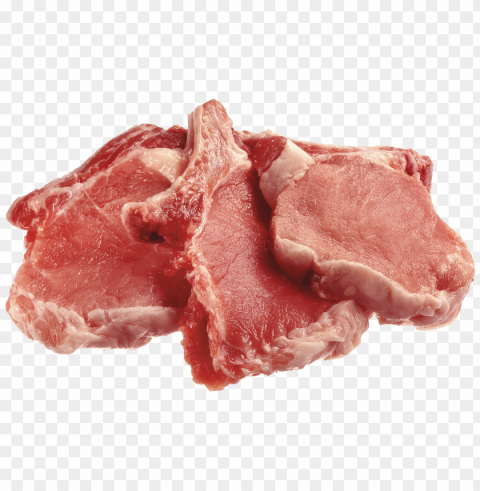 Fresh Chicken Meat Transparent PNG Graphics Archive