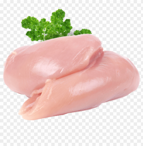fresh chicken meat Transparent PNG images wide assortment