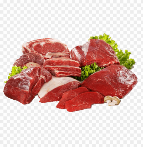 Fresh Chicken Meat PNG Cutout