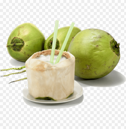 fresh coconut - kelapa muda PNG clipart