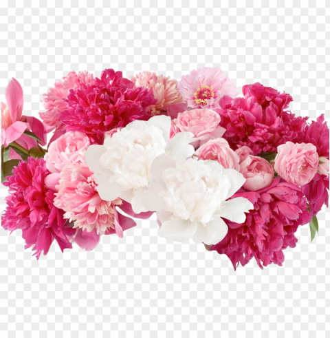 fresh cut - flowers - peonies - peonies PNG Image with Isolated Icon
