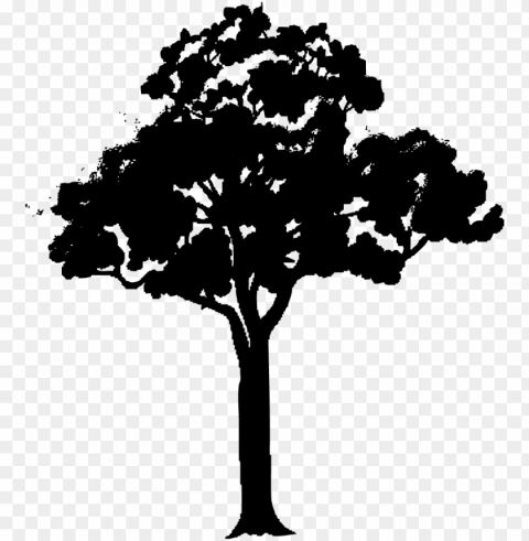 fresh gallery black tree vector - cartoon tree with branches PNG graphics with clear alpha channel collection