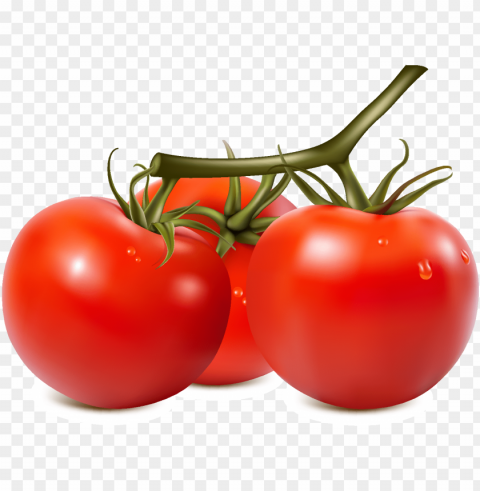 fresh organic vegetable tomato vector - tomato vector HighResolution Isolated PNG with Transparency