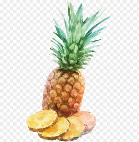 fresh pineapple slices - watercolor painti Isolated Item on Transparent PNG