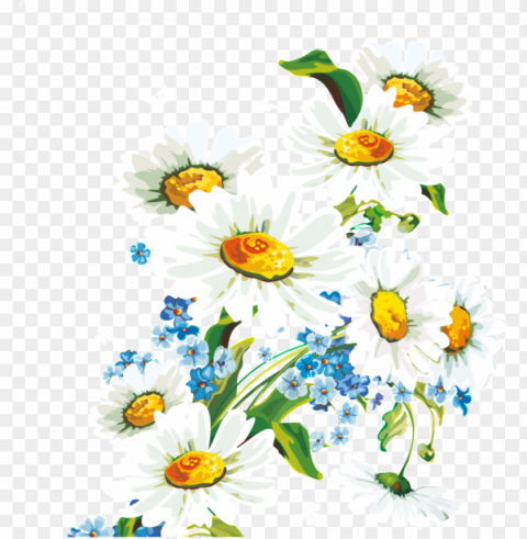 fresh white hand drawn chrysanthemum decorative elements - fondos de pantalla dibujos de flores hd PNG images with cutout