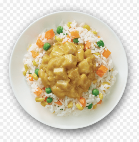 fried chicken with rice PNG transparent designs