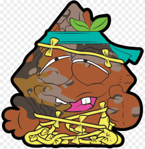 fried kite - sgt stuffed bear grossery gang Isolated Item with Transparent PNG Background