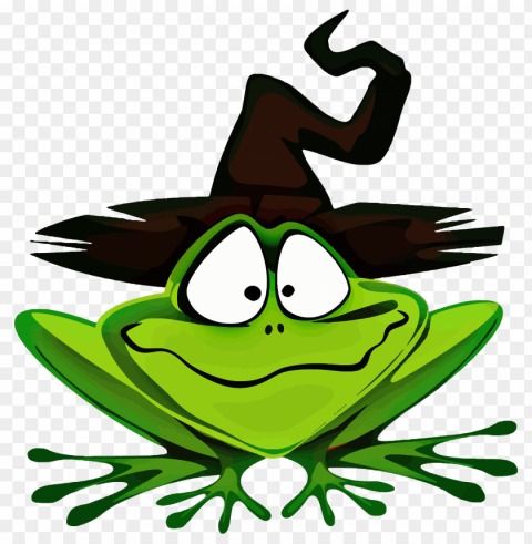 frog wearing witch hat Transparent PNG photos for projects