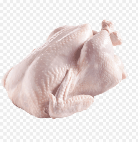 frozen chilled whole chicken - chicken skin out PNG art