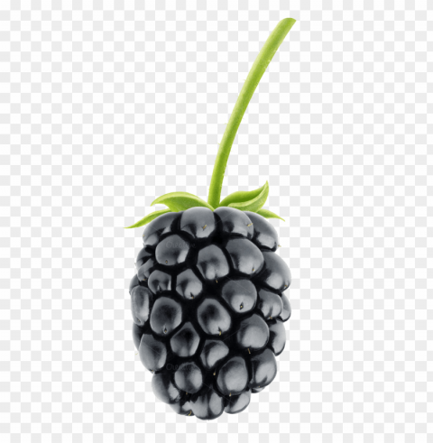 Fruit Isolated Graphic On HighQuality PNG