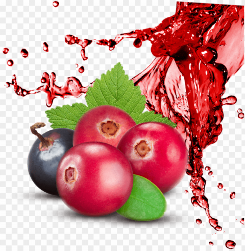 fruit splash HighQuality PNG Isolated on Transparent Background PNG transparent with Clear Background ID 2a5b89e4