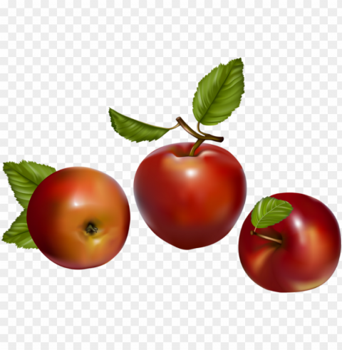 fruit vector Isolated Item on Transparent PNG PNG transparent with Clear Background ID 8ffeb5dd