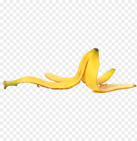 fruits - banana peel with background PNG transparent images extensive collection