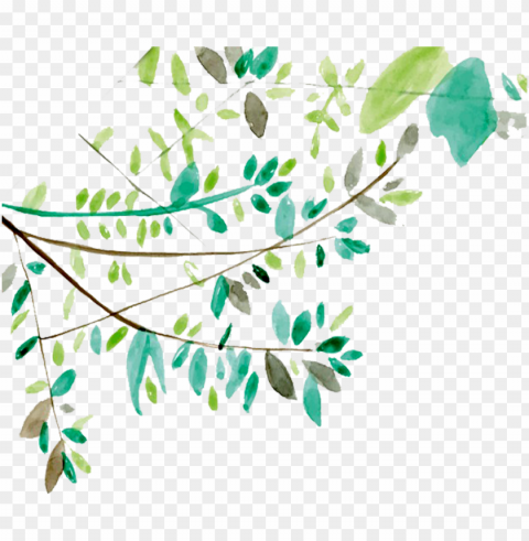 ftestickers watercolor leaves vines greenery - tree branch watercolor PNG images with transparent backdrop