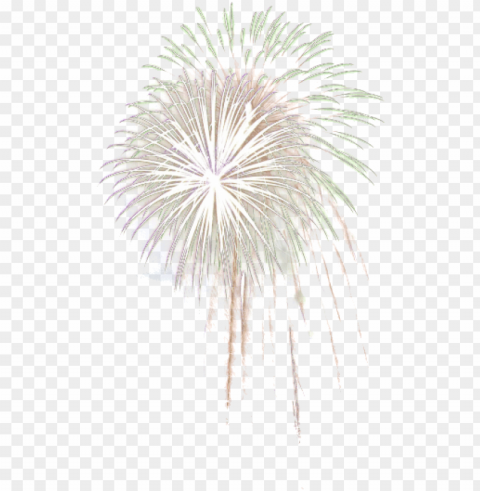 fuegos artificiales - fuegos artificiales fondo transparente Isolated Icon with Clear Background PNG