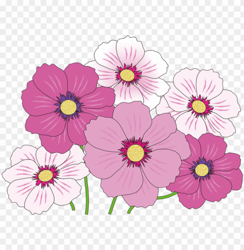 fun daisy s 5 buy- mothers day event poster PNG file with alpha