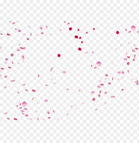 fundal adobe peach petals festival flowers fall - falling pink petals PNG files with transparency