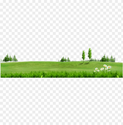 fundal information - green grass background Free download PNG images with alpha channel diversity