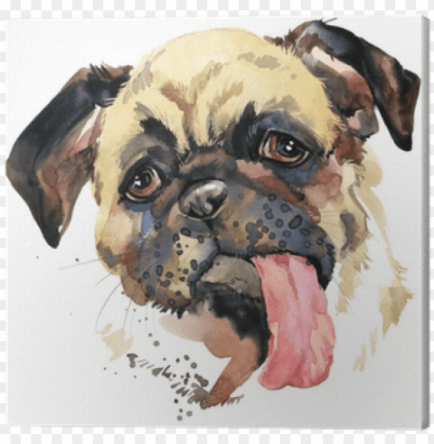 funny puppy watercolor illustration canvas print - do High-definition transparent PNG