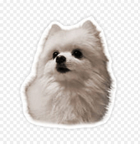 gabe the dog sticker Transparent Background PNG Isolated Design