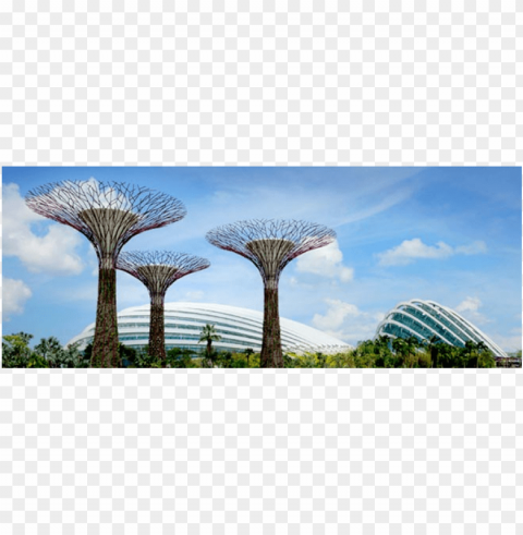 gardens by the bay PNG images free download transparent background