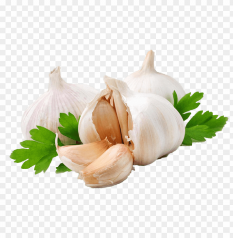 garlic Isolated Object on Transparent PNG