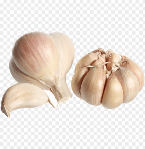 garlic Isolated Object with Transparency in PNG