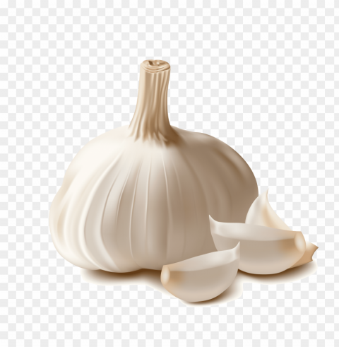 garlic Isolated Object with Transparent Background in PNG
