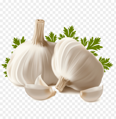 garlic Isolated Object with Transparent Background PNG