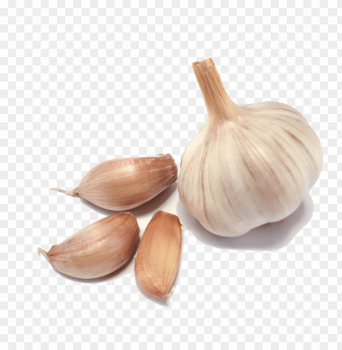 garlic Isolated PNG Element with Clear Transparency