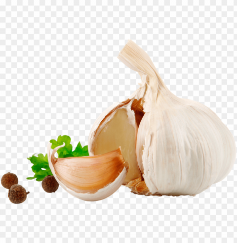garlic Isolated PNG Item in HighResolution
