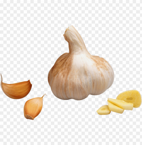 garlic Isolated PNG Object with Clear Background
