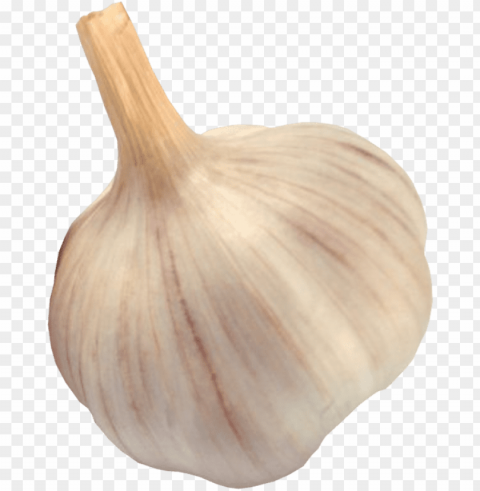 garlic Isolated PNG on Transparent Background