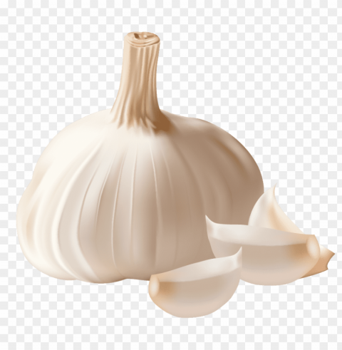 garlic Isolated Subject in HighQuality Transparent PNG