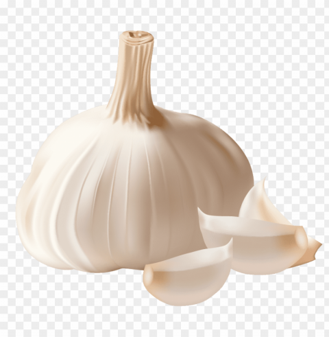 Garlic Isolated Subject In HighQuality Transparent PNG