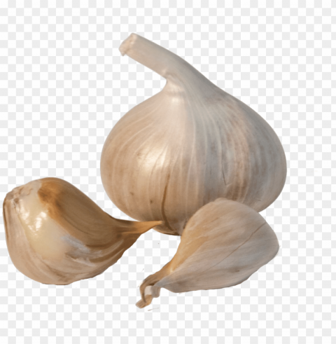 garlic Isolated Subject in HighResolution PNG