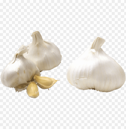 garlic Isolated Subject in Transparent PNG Format