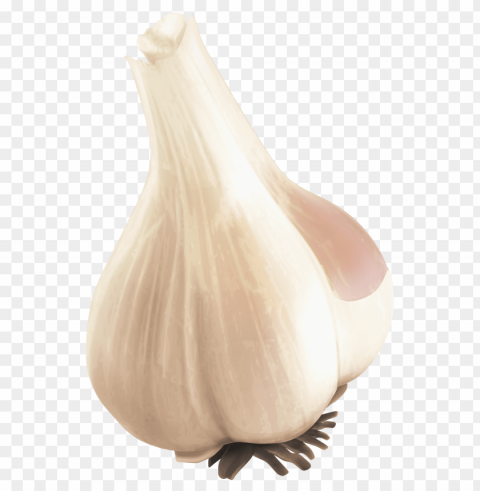 garlic Isolated Subject on Clear Background PNG