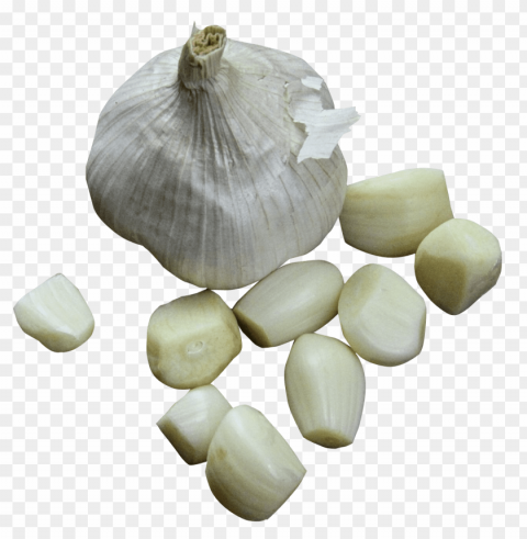 garlic Isolated Subject on HighQuality PNG