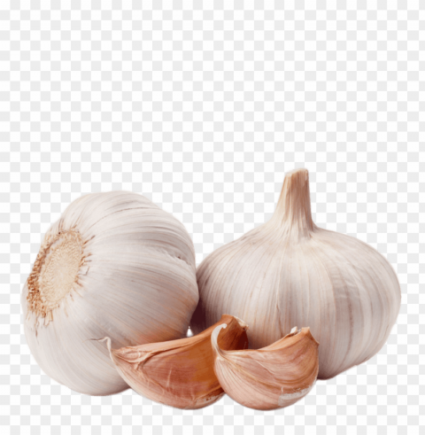 garlic Isolated Subject on HighQuality Transparent PNG