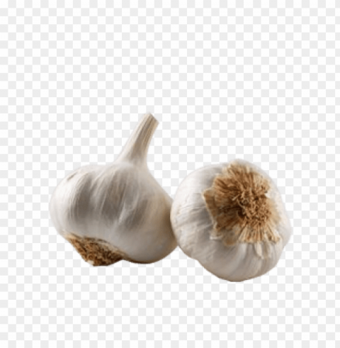 garlic Isolated Subject on HighResolution Transparent PNG