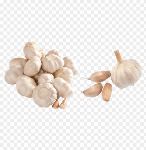 garlic PNG artwork with transparency